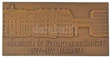 1977. "MÁV Kórház és Központi Rendelőintézet 1927-1977, Budapest" bronz emlékplakett eredeti tokban (40x80mm) T:UNC