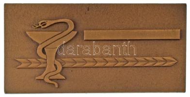 1977. "MÁV Kórház és Központi Rendelőintézet 1927-1977, Budapest" bronz emlékplakett erede...