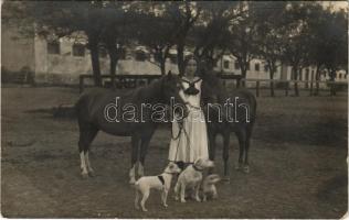 1914 Sankt Pölten, lady with horses and dogs. photo (EB)