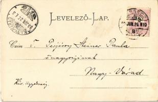 1899 (Vorläufer) Versec, Werschetz, Vrsac; Röm.-kath. Kirche / Római katolikus templom. Wilh. Wettl ...