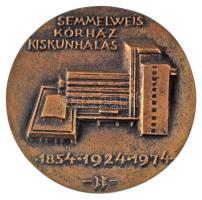 Búza Barna (1910-2010) 1974. "Semmelweis Ignácz - Numen Adest / Semmelweis Kórház Kiskunhalas 1...