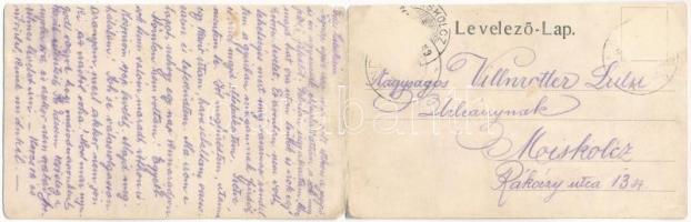 1907 Nándorhegy, Otelu Rosu, Ferdinand, Ferdinandsberg; Fuchs fényképei után. 2-részes kinyitható pa...