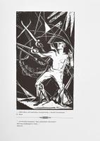 Fiú és apa. Bolyai János és Bolyai Farkas életéből fába metszette: M. Makkai Piroska. A kísérőszöveg...