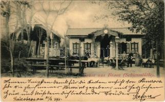 1898 (Vorläufer) Szászváros, Broos, Orastie; Lövölde vendéglő és kert / Schiesstätte / restaurant and courtyard (EK)