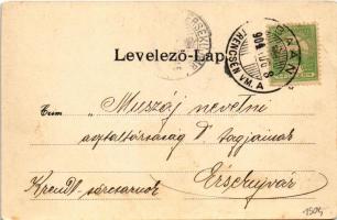 1904 Bán, Trencsénbán, Baán, Bánovce nad Bebravou; látkép. Fuchs Vilmos kiadása / general view (EB)