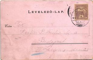 1900 Oravica, Oravita; Lövészkert látképe. Gross Gyula tulajdona / shooting hall (fa)