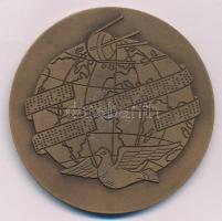 1980. "Magyar Távirati Iroda 100 éves 1880-1980" bronz emlékérem (70mm) T:AU patina