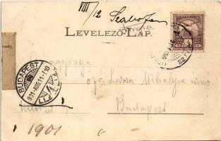 1901 Losonc, Lucenec; Gácsi utca, üzletek / street view, shops (EK)