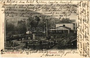 1906 Rozsnyó, Roznava; Vasas gyógyfürdő. Falvi Jenő kiadása / spa, bath (fa)