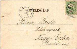 1906 Rozsnyó, Roznava; Vasas gyógyfürdő. Falvi Jenő kiadása / spa, bath (fa)