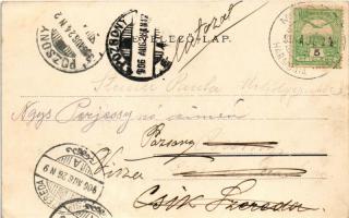 1906 Modor-Harmónia, Modern-Harmonie, Modra; Erzsébet villa. Levius P. S. kiadása / villa (fl)