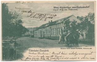 1902 Élesd, Alesd; Bihar-Körösvölgyi takarékpénztár. Strommer Gyula amateur fényképész / savings bank (b)