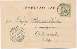 1902 Élesd, Alesd; Bihar-Körösvölgyi takarékpénztár. Strommer Gyula amateur fényképész / savings ban...