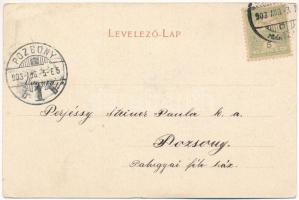 1903 Tusnádfürdő, Baile Tusnad; Szent Anna tó / Sanct Anna-See / lake, spa. Art Nouveau, floral (EK)