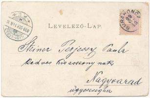 1899 (Vorläufer) Gurahonc, Honctő, Gurahont; Hungária szálloda. Weissberger Sámuel utóda kiadása / h...