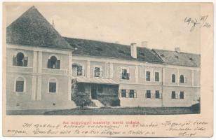 1907 Algyógy, Geoagiu, Gergesdorf; kastély kerti oldala. Adler fényirda / castle (fa)