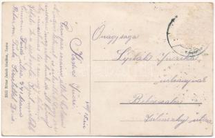 Tenke, Tinca; Adóhivatal, Ipartestület. Ritter Jakab kiadása / tax office, Craftsmen's Associat...