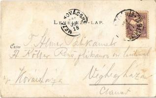 1900 Lippa, Lipova; Solymosi vár. Willner Leó kiadása / Soimos castle (szakadás / tear)