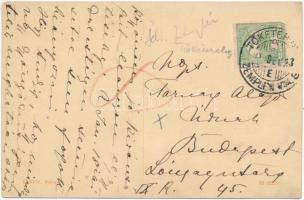 1910 Tőketerebes, Trebisov; Gróf Andrássy kastély és park. Andrássy Gyuláné levele / castle and park...