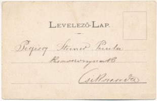 Zsögödfürdő, Jigodin Bai; fürdő. György Jakab Márton kiadása. Wlaszlovits Gusztáv 1038. / spa, bath ...