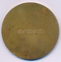 1972. "CANISA-FILA 72 - Nagykanizsa 1972.IX.23-30." egyoldalas bronz emlékérem (50mm) T:XF...