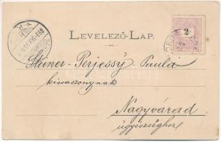 1899 (Vorläufer) Borossebes, Boros-Sebes, Sebis; Piac, Steiner Samu üzlete, emlékmű. Honisch udvari ...