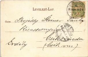 1903 Szatmárnémeti, Szatmár, Satu Mare; Kossuth kert, Városi kioszk, vendéglő. Lövy Miksa kiadása / ...