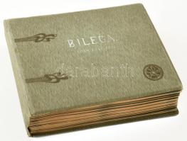 1914-1916 Bileca - katonai fotóalbum, feliratozott fotókkal (erődrészlet, újoncok, tisztek csoportja...