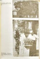 Péntek János, Szabó Attila: Ember és növényvilág. Kalotaszeg növényzete és népi növényismerete. Buka...