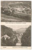 1925 Zalatna, Zlatna; Uzinele metalurgice si metalochimice a statului, Valea mori si Directiunea uzinelor. Traian Baicu / kohászati és kohokémiai üzem, völgy, gyárigazgatóság / factory directorate, valley (EK)