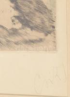 Csók István (1865-1961) - Prihoda István (1891-1956): Züzü olvas. Színezett rézkarc, papír, jelzett ...