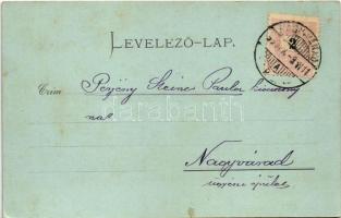 1899 (Vorläufer) Nagyvárad, Oradea; látkép a nagyhídról, zsinagóga, híd. Sonnenfeld A. kiadása / vie...