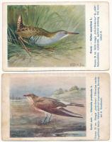 4 db RÉGI motívum képeslap: madár művészlapok (Magyar Földrajzi Intézet rt. kiadása. Székesfőv. álla...