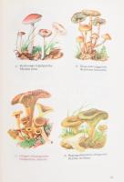 Dr. Hortobágyi Tibor (szerk.): Baktériumok - mohák. I kötet. Bp., 1968, Tankönyvkiadó. Színes gombat...