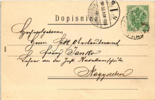 1905 Praca (Pale-Praca), general view. Verlag Jovo Spaic (EK)