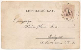 1899 (Vorläufer) Siófok, Dr. Ney villa, hajóállomás, korzó, kiadja Weiss L. és F. Art Nouveau, flora...