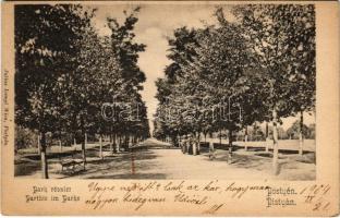 1904 Pöstyén, Piestany; Park részlet. Julius Lampl kiadása / spa park (EK)