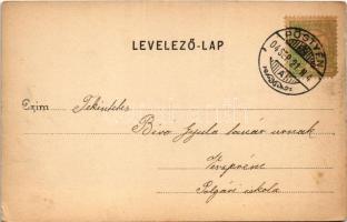 1904 Pöstyén, Piestany; Park részlet. Julius Lampl kiadása / spa park (EK)