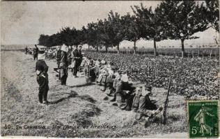 1908 En campgane, Une chaine de tirailleurs / Francia katonák / French military, soldiers. TCV card (EK)