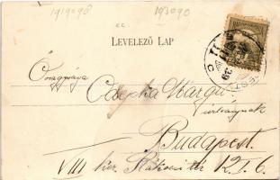 1903 Budapest XI. Kelenföld, vasútállomás és gőzmozdony, vonat. Chvála Józsefné kiadása (EK)