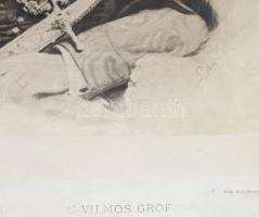 gróf Erdődy-Pálffy-Daun Vilmos nagy méretű portréja díszmagyarban, alja restaurált 32x49 cm + hozzá ...