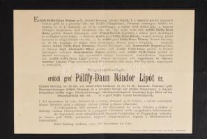 gróf Erdődy-Pálffy-Daun Vilmos nagy méretű portréja díszmagyarban, alja restaurált 32x49 cm + hozzá ...