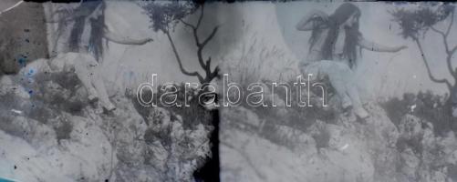 Össz. 14 db üvegnegatív, közte 2 db sztereo üvegnegatív, klf. méretekben, részben sérült