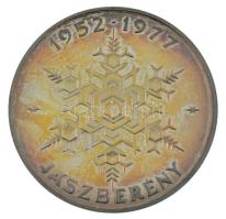 1977. 25 éves a Lehel hűtőgépgyár / 1952-1977 Jászberény Ag emlékérem, eredeti tokban (43g/0.835/42,5mm) T:UNC patina