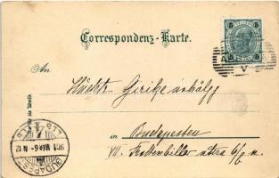 1901 Abbazia, Opatija; Strandweg / shore (EK)