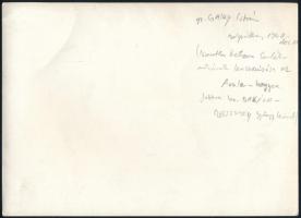 1940 Gróf Csáky István külügyminiszter Belgrádban, fotó, felületén törésnyom, 13×18 cm