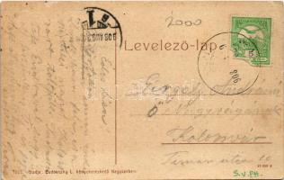 1908 Vízakna, Salzburg, Ocna Sibiului; Részlet a fürdőparkból. Budovszky L. kiadása 1003. (W.L. ?) /...