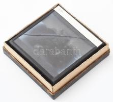 cca 1900-1920 Várromok, történelmi személyek, festmények, 7 db üvegdia, "Uránia Szemléltető Tan...