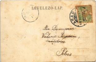 1905 Arad, Emlékkő a kivégeztetési helyen, A 13 vértanú szobra, Szabadság tér, Szentháromság szobor,...