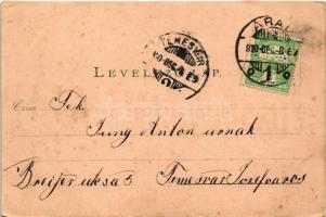 1910 Arad, Városháza este. Ruger G. és Társa kiadása. Világosság felé tartandó lap / town hall at ni...